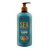 Mielle Sea Moss Anti-Shedding Shampoo infused with Saw Palmetto 8 Oz.